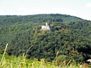 Weinprbe auf der Burg Landeck