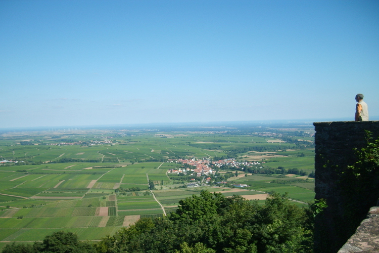 Burg Madenburg nach Göcklingen